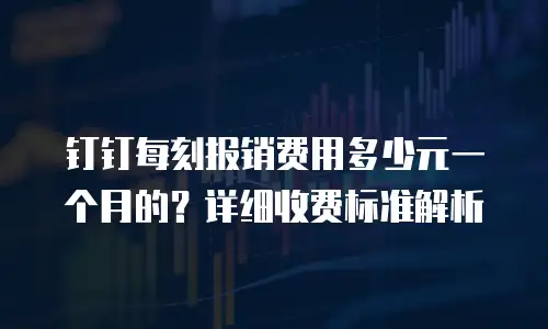 钉钉每刻报销费用多少元一个月的？详细收费标准解析