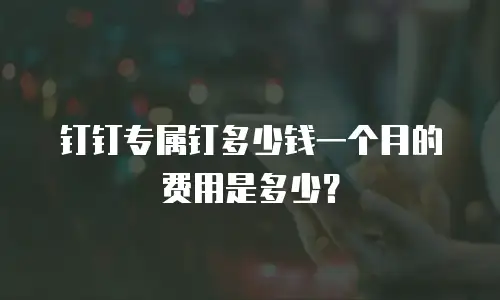 钉钉专属钉多少钱一个月的费用是多少？