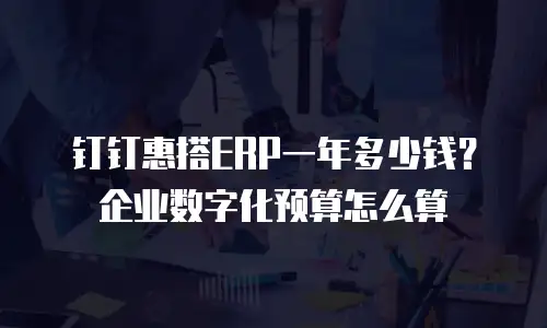 钉钉惠搭ERP一年多少钱？企业数字化预算怎么算