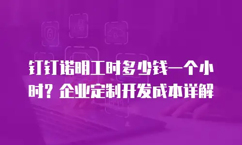 钉钉诺明工时多少钱一个小时？企业定制开发成本详解