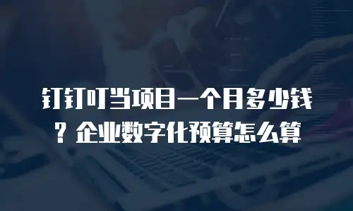 钉钉叮当项目一个月多少钱？企业数字化预算怎么算
