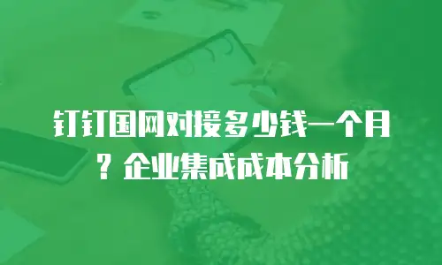 钉钉国网对接多少钱一个月？企业集成成本分析