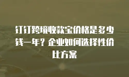 钉钉跨境收款宝价格是多少钱一年？企业如何选择性价比方案