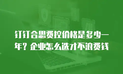 钉钉合思费控价格是多少一年？企业怎么选才不浪费钱