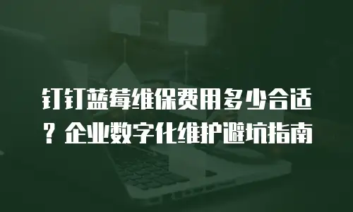 钉钉蓝莓维保费用多少合适？企业数字化维护避坑指南