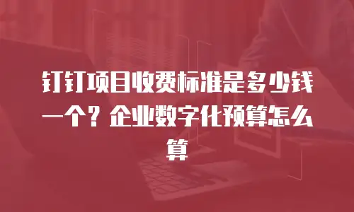 钉钉项目收费标准是多少钱一个？企业数字化预算怎么算