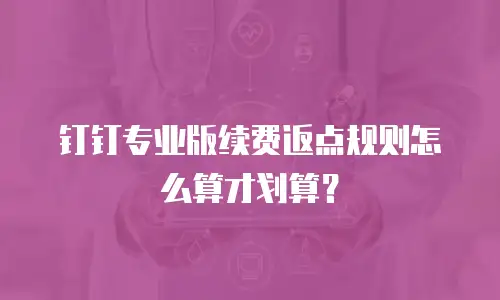 钉钉专业版续费返点规则怎么算才划算？