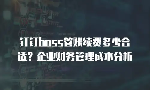 钉钉boss管账续费多少合适？企业财务管理成本分析