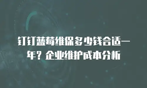 钉钉蓝莓维保多少钱合适一年？企业维护成本分析