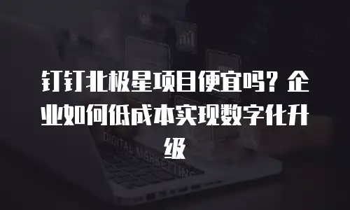 钉钉北极星项目便宜吗？企业如何低成本实现数字化升级