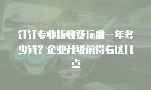 钉钉专业版收费标准一年多少钱？企业升级前得看这几点