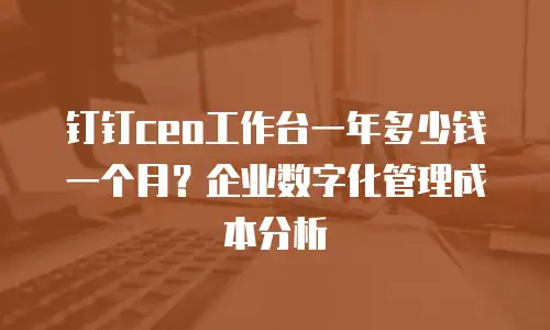 钉钉ceo工作台一年多少钱一个月？企业数字化管理成本分析