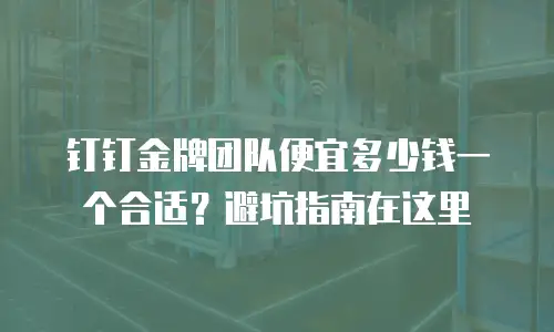 钉钉金牌团队便宜多少钱一个合适？避坑指南在这里