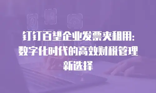 钉钉百望企业发票夹租用：数字化时代的高效财税管理新选择
