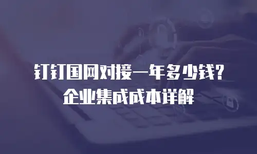 钉钉国网对接一年多少钱？企业集成成本详解