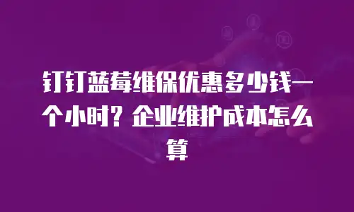 钉钉蓝莓维保优惠多少钱一个小时？企业维护成本怎么算