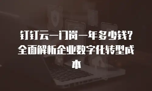 钉钉云一门岗一年多少钱？全面解析企业数字化转型成本