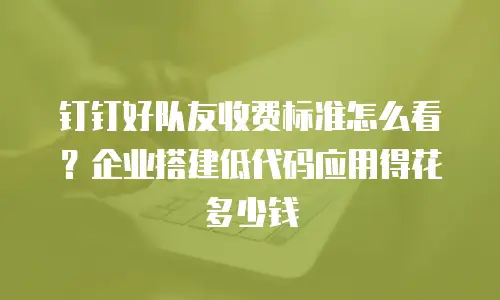 钉钉好队友收费标准怎么看？企业搭建低代码应用得花多少钱
