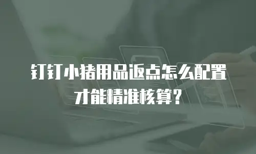 钉钉小猪用品返点怎么配置才能精准核算？
