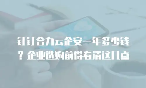 钉钉合力云企安一年多少钱？企业选购前得看清这几点