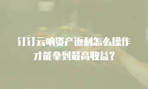 钉钉云呐资产返利怎么操作才能拿到最高收益？