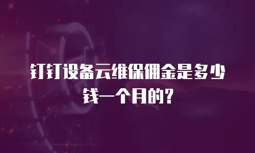 钉钉设备云维保佣金是多少钱一个月的？