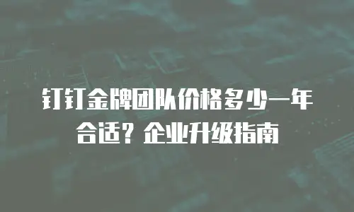 钉钉金牌团队价格多少一年合适？企业升级指南