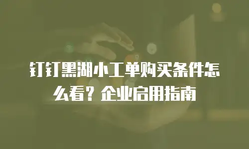 钉钉黑湖小工单购买条件怎么看？企业启用指南