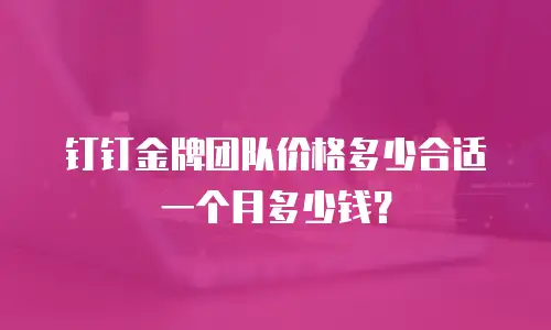 钉钉金牌团队价格多少合适一个月多少钱？