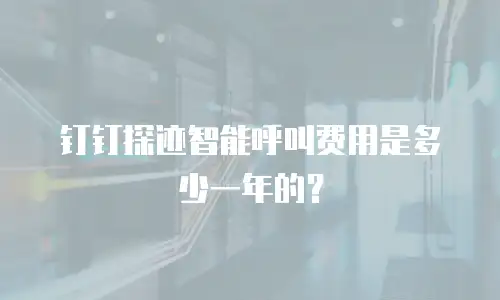 钉钉探迹智能呼叫费用是多少一年的？