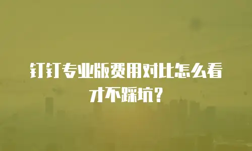 钉钉专业版费用对比怎么看才不踩坑？