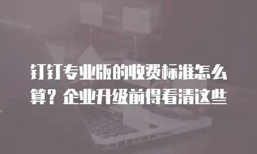 钉钉专业版的收费标准怎么算？企业升级前得看清这些