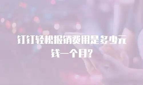 钉钉轻松报销费用是多少元钱一个月？