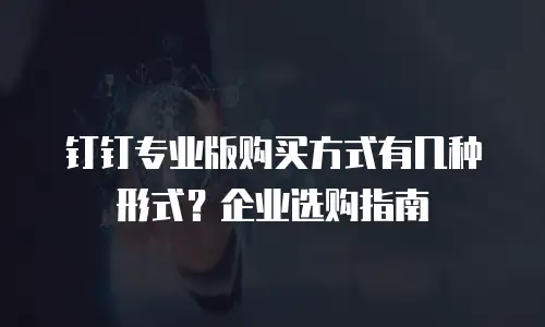 钉钉专业版购买方式有几种形式？企业选购指南