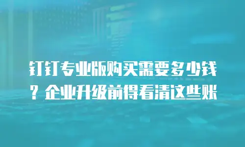 钉钉专业版购买需要多少钱？企业升级前得看清这些账