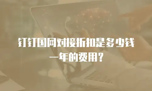 钉钉国网对接折扣是多少钱一年的费用？