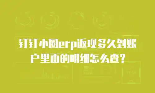 钉钉小圈erp返现多久到账户里面的明细怎么查？
