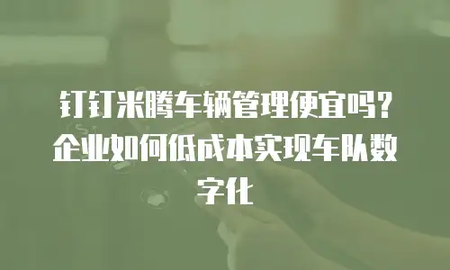 钉钉米腾车辆管理便宜吗？企业如何低成本实现车队数字化