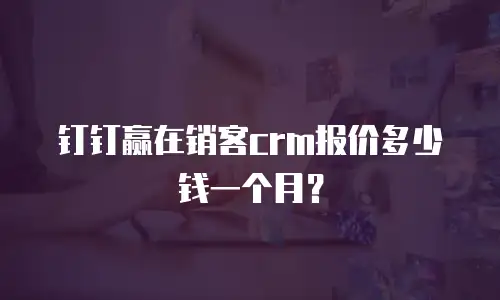 钉钉赢在销客crm报价多少钱一个月？
