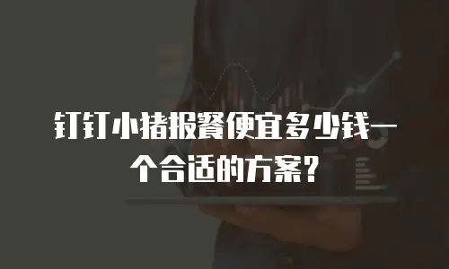 钉钉小猪报餐便宜多少钱一个合适的方案？