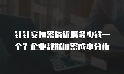 钉钉安恒密盾优惠多少钱一个？企业数据加密成本分析
