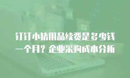 钉钉小猪用品续费是多少钱一个月？企业采购成本分析