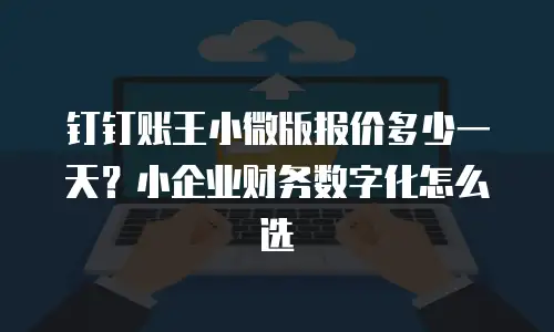 钉钉账王小微版报价多少一天？小企业财务数字化怎么选