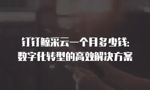 钉钉鲸采云一个月多少钱：数字化转型的高效解决方案