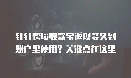 钉钉跨境收款宝返现多久到账户里使用？关键点在这里