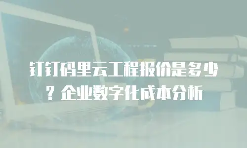 钉钉码里云工程报价是多少？企业数字化成本分析