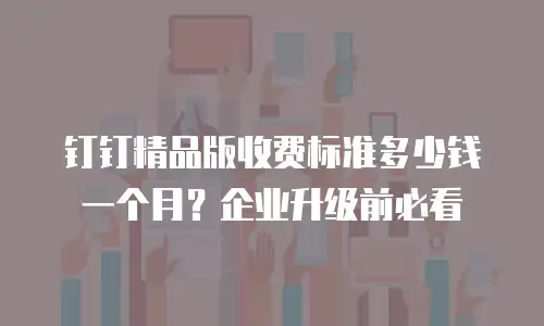 钉钉精品版收费标准多少钱一个月？企业升级前必看