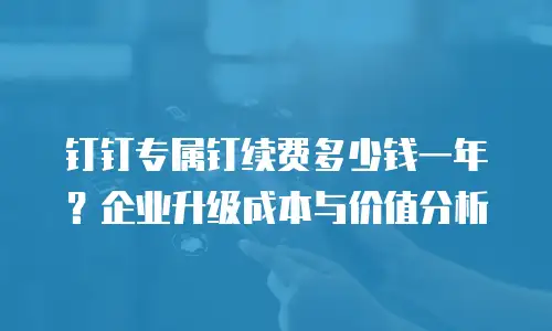 钉钉专属钉续费多少钱一年？企业升级成本与价值分析