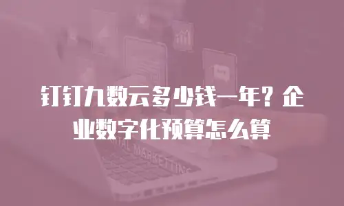 钉钉九数云多少钱一年？企业数字化预算怎么算