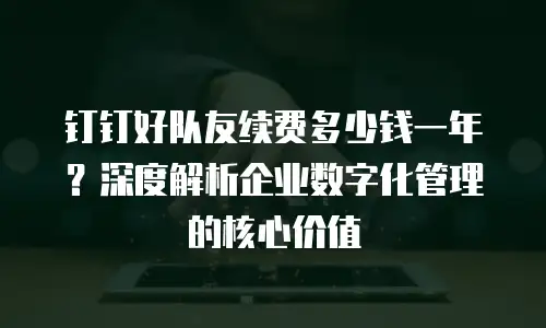 钉钉好队友续费多少钱一年？深度解析企业数字化管理的核心价值